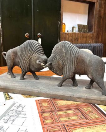 combat de bisons side