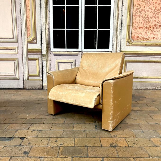 Fauteuil de salon De Sede